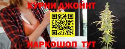 сатива Краснодар