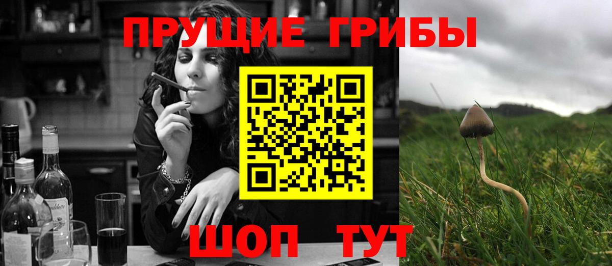 Псилоцибиновые грибы Psilocybine cubensis  Галлюциногенные грибы мицелий  Вход с VPN  Ирбит 