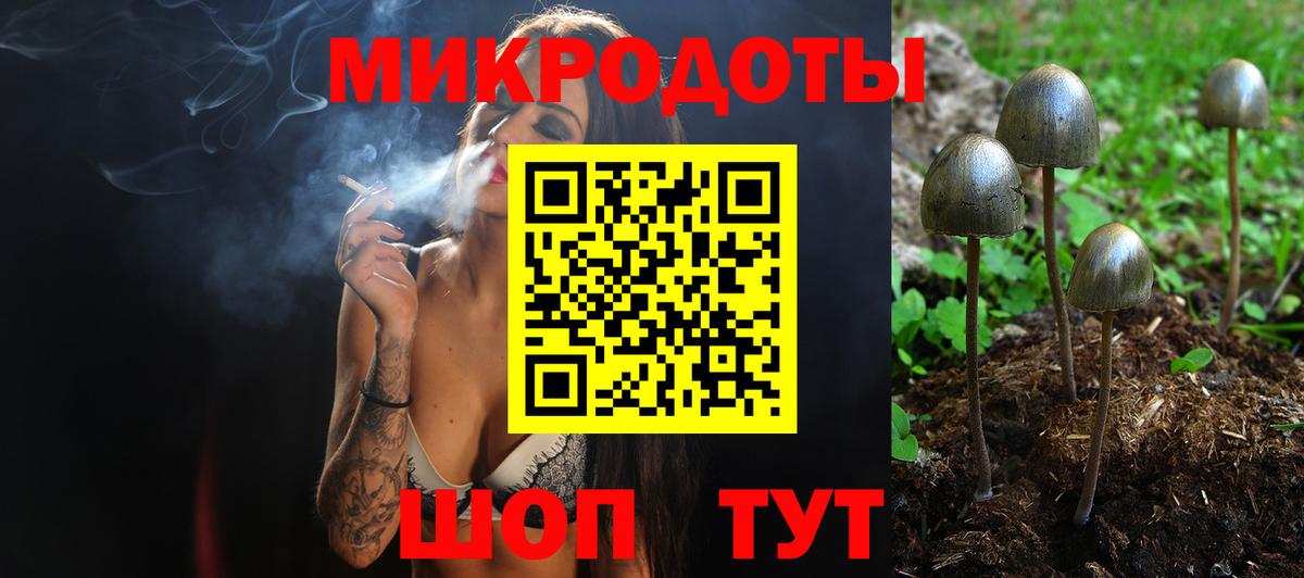 Псилоцибиновые грибы Cubensis Ирбит